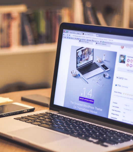 Web hosting