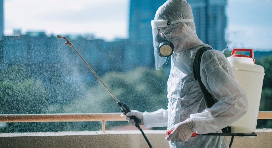 seo for pest control